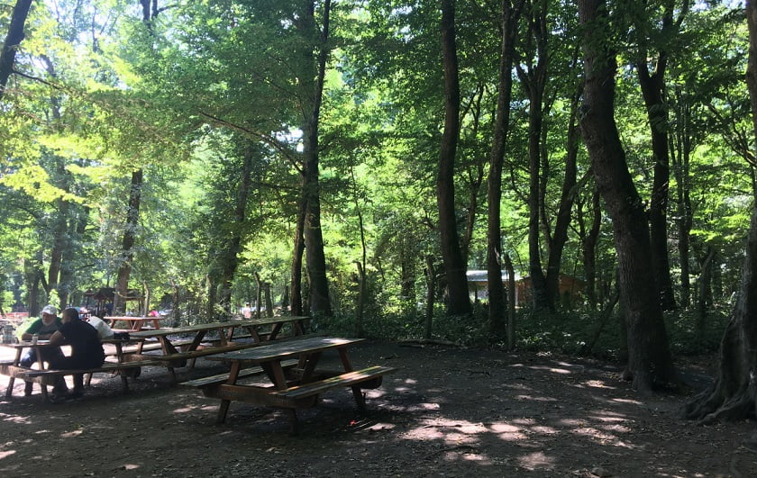 Belgrad Ormanı adeta ıssızlığa büründü