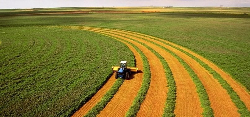 Elazığ’da tarım arazisi mahkemeden satılık