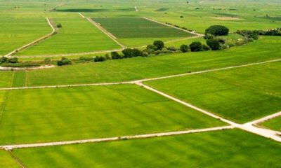 Yalova’da 375 m2 arsa icradan satılıktır
