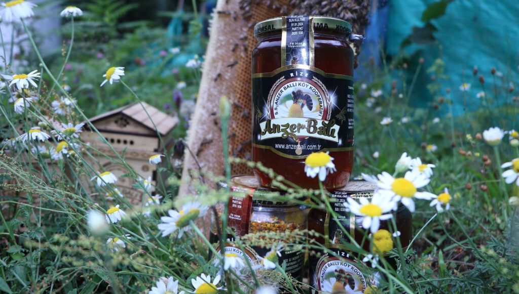 Anzer balının fiyatı belli oldu