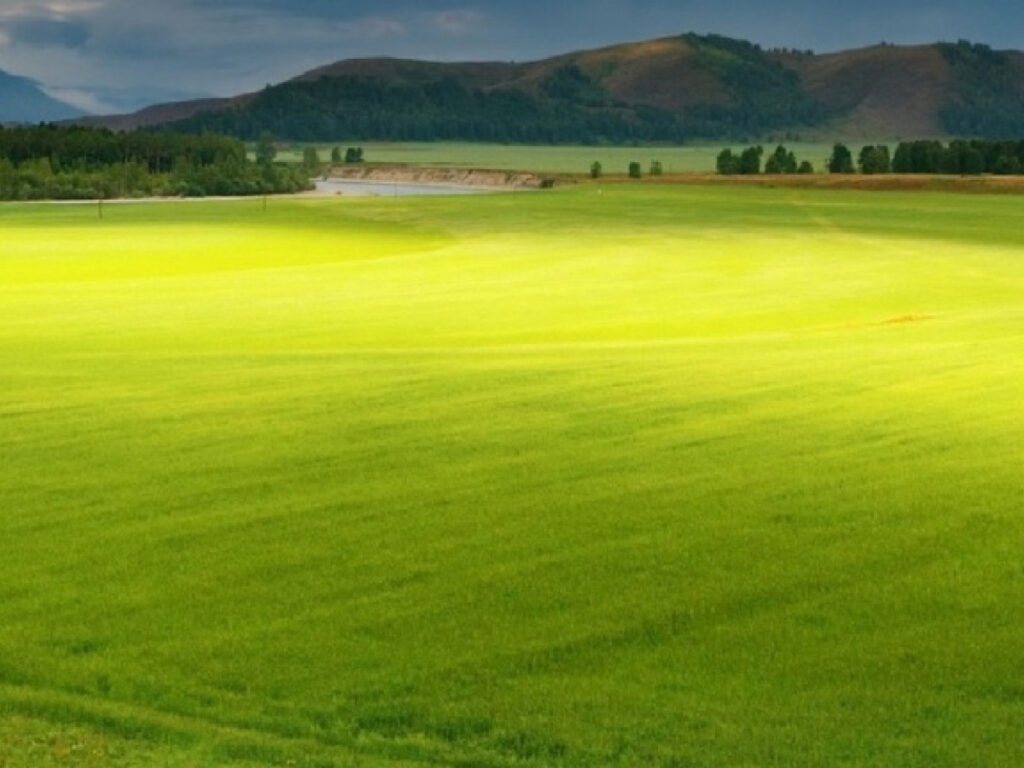 Çanakkale’de 3.300 m² tarla icradan satılıktır