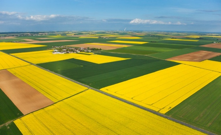 Çanakkale Ezine’de 8.381 m² tarla icradan satılıktır