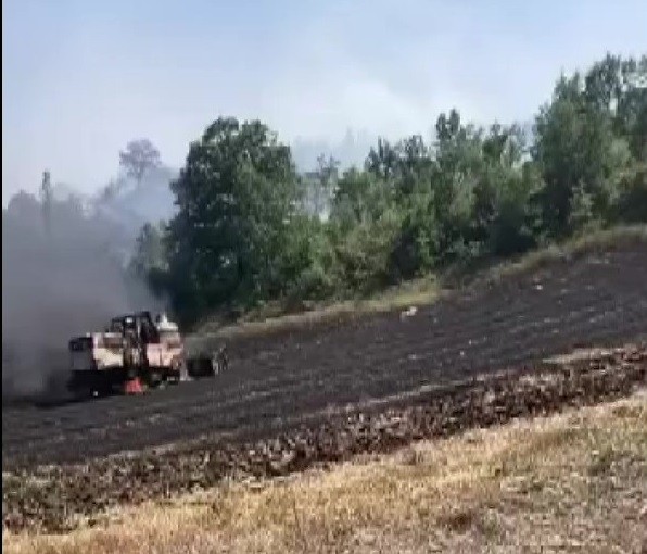 Bursa’da anız yakan çitçiye ceza