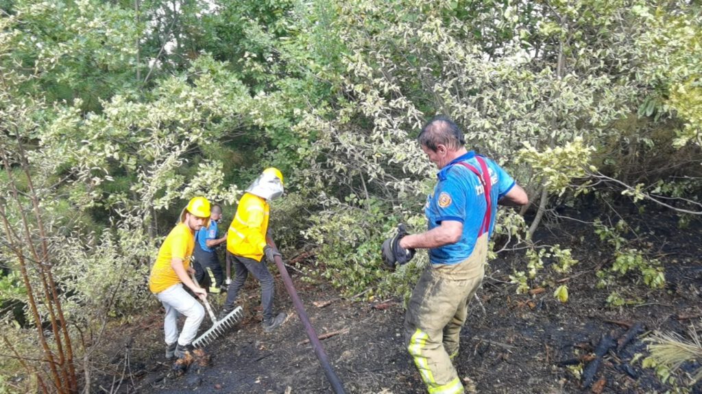 Bursa’da orman yangını paniği