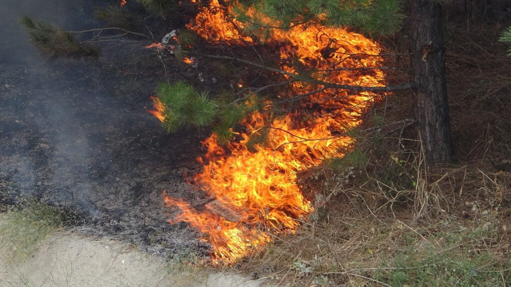 Bursa’da yangın, korkulu anlar yaşattı