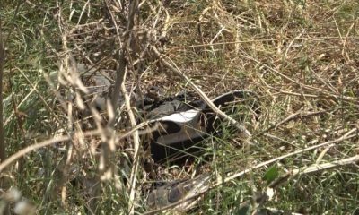 Bursa’da yol kenarında erkek cesedi bulundu!