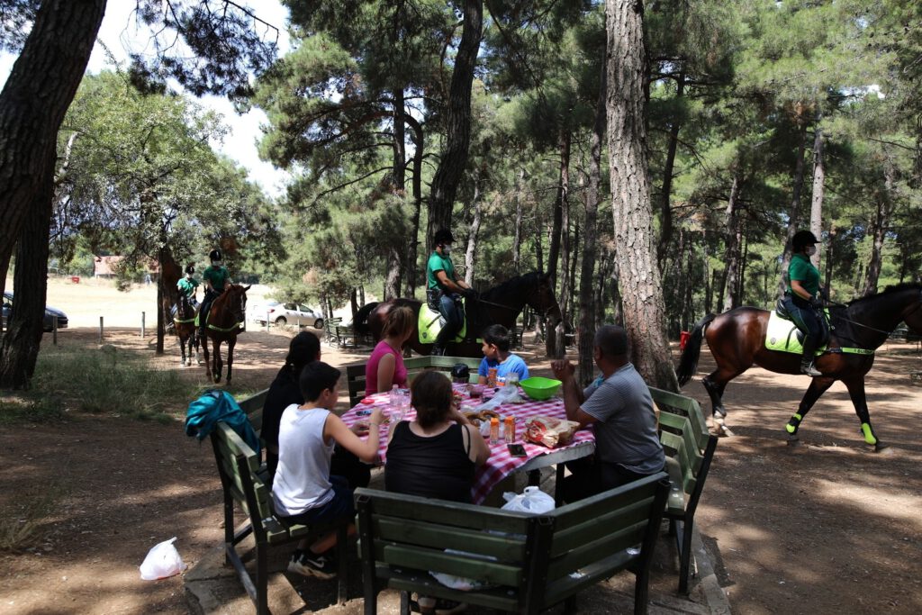 Bursa’nın ormanları onlara emanet