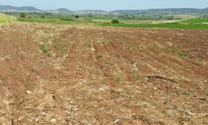 Gaziantep Şehitkamil’de 23.365 m² kuru tarım arazi hissesi icradan satılıktır