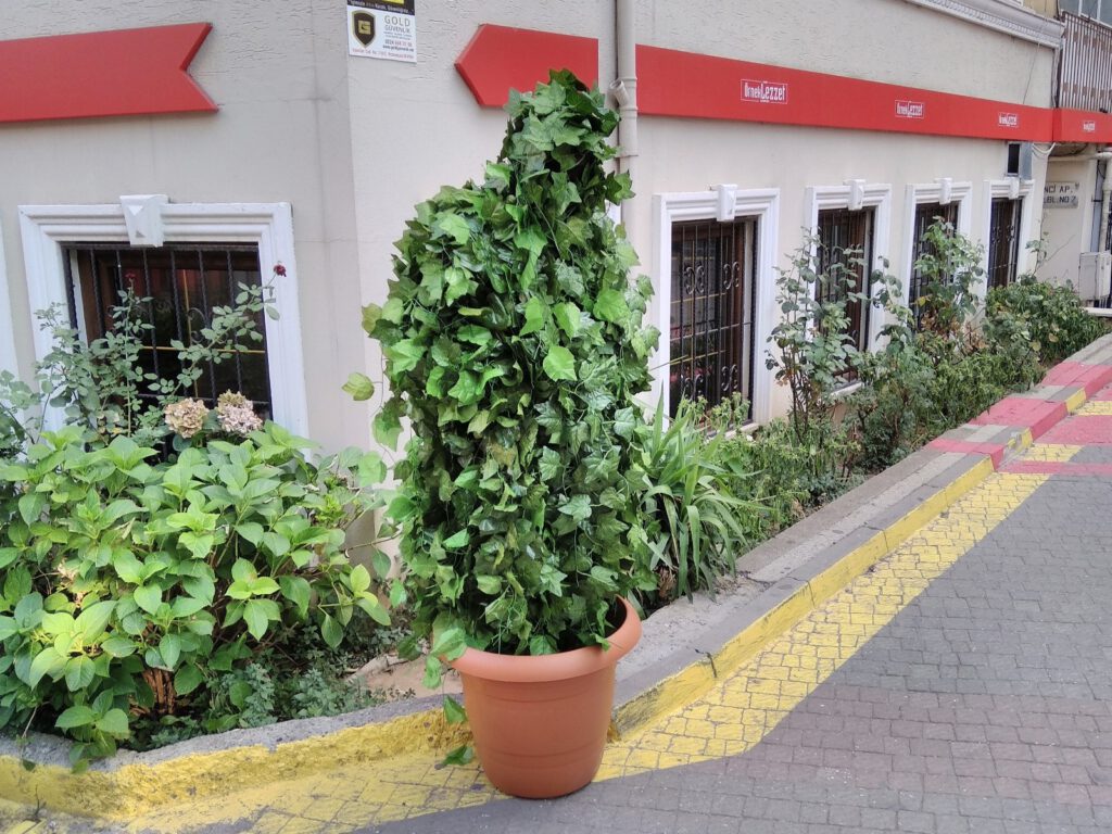 Çığlık attıran ağaç!