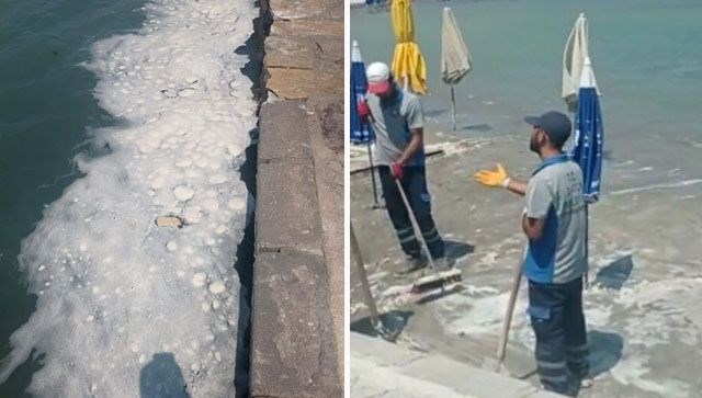 Datça sahilinde tedirgin eden görüntü