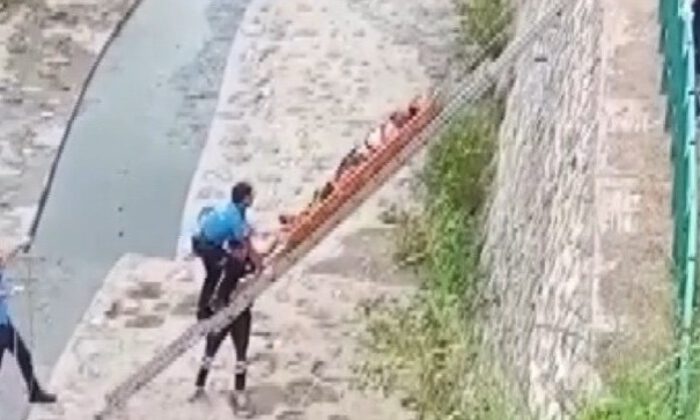 Düştüğü dereden kurtarıldı