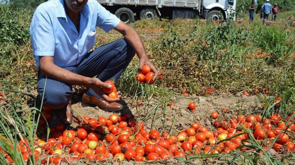 Gıda enflasyonu, şimdiden 2020’yi geçti!