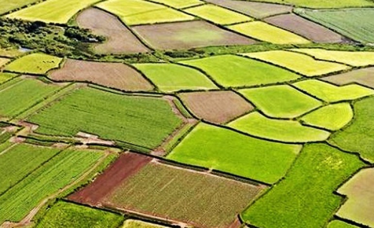 Osmangazi’de 1591 m2 tarla icradan satılıktır