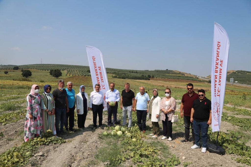 Konaklı’da kavun bereketi