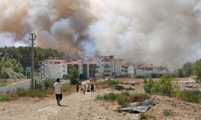 Manavgat’ta yangın yeniden başladı