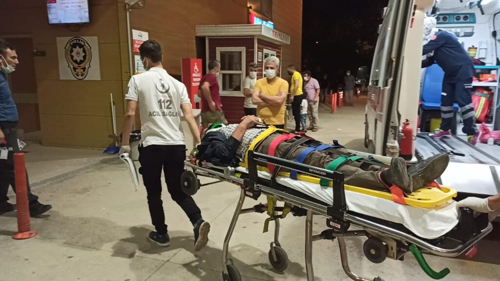 Motosiklet, domuz sürüsüne daldı