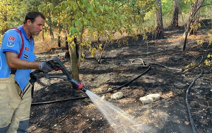 Hızlı müdahale, ormanı kül olmaktan kurtardı