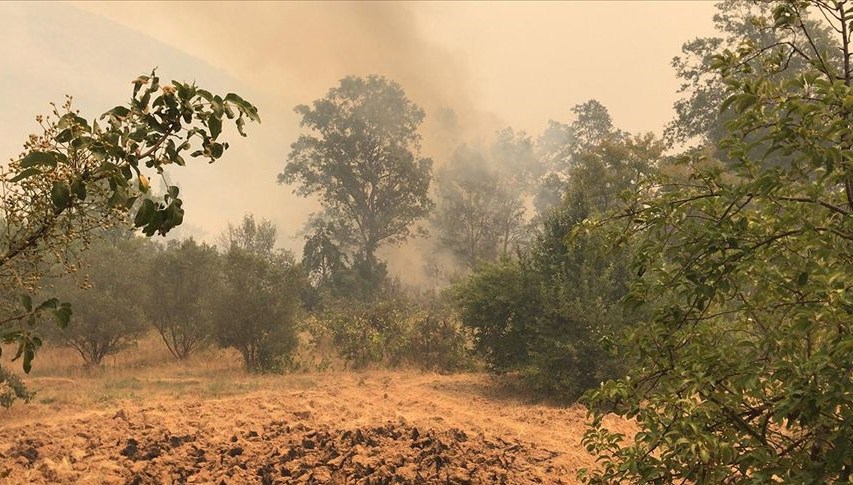 Orman yangınlarında son durum