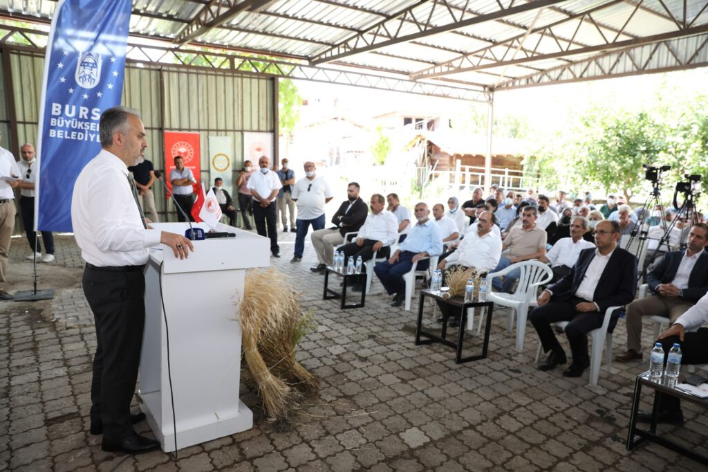 Yılın ilk hasadı başladı