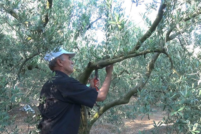 ‘Tarım Sohbetleri’ ilgi görüyor