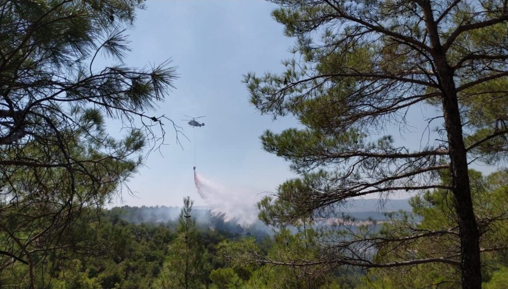 Uşak’ta orman yangını