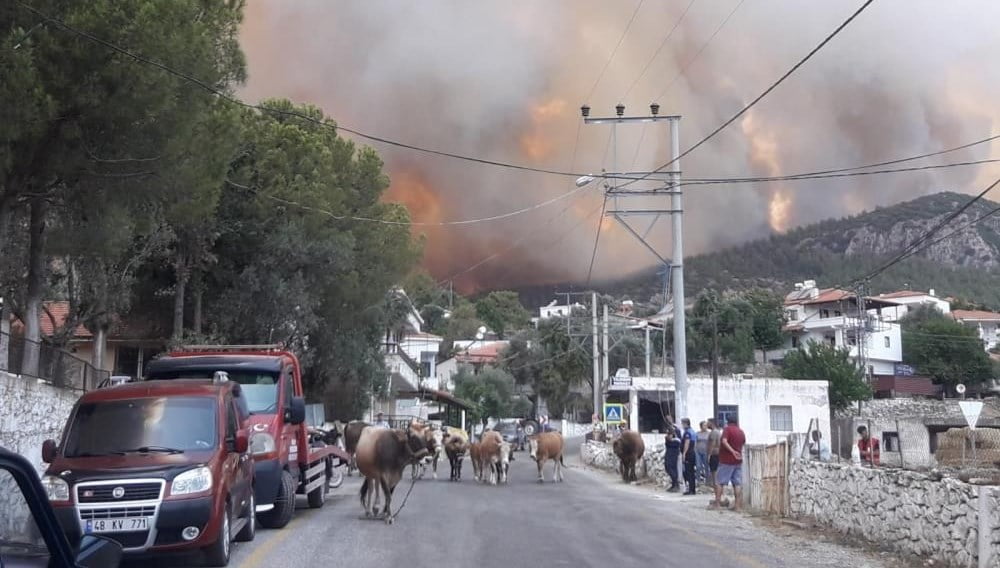 Yangınlar iki ilde devam ediyor