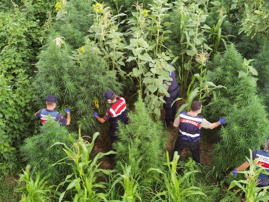 Zehir tacirlerine operasyon