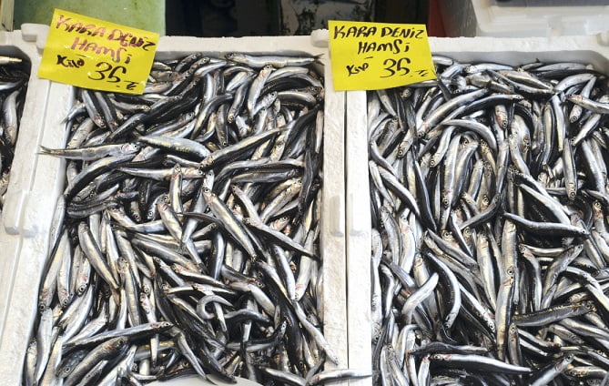 Hamsinin fiyatı düşmüyor