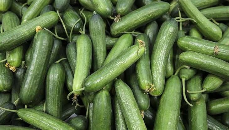 Ağustos’ta en çok salatalığın fiyatı arttı