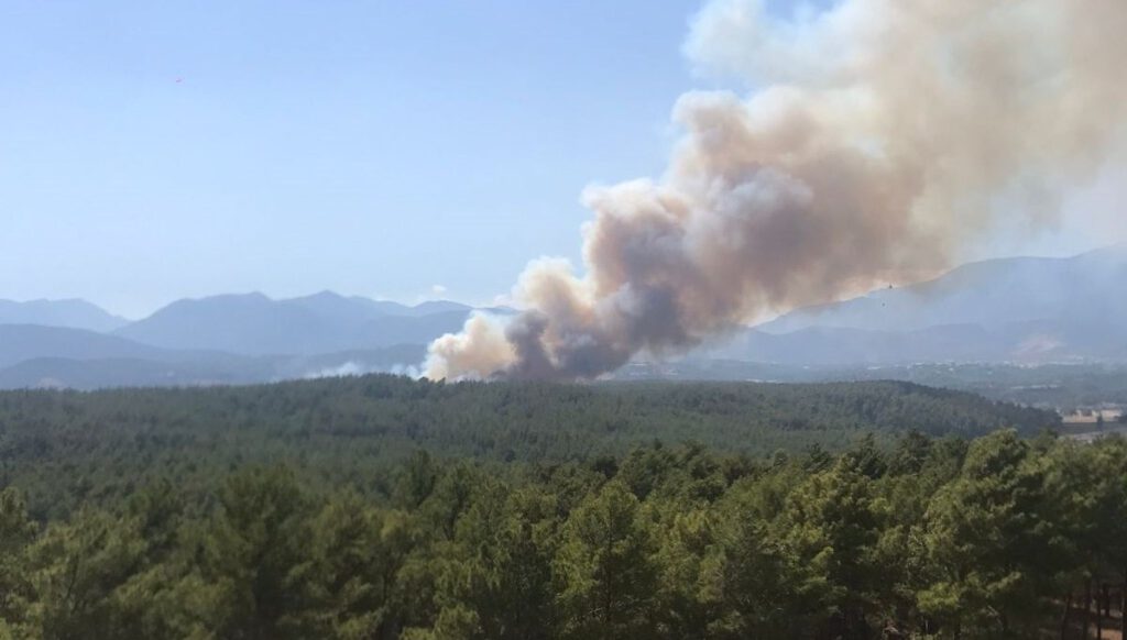 Antalya Kaş’ta orman yangını