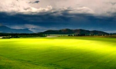 Yenişehir’de 20.286 m² tarla icradan satılıktır