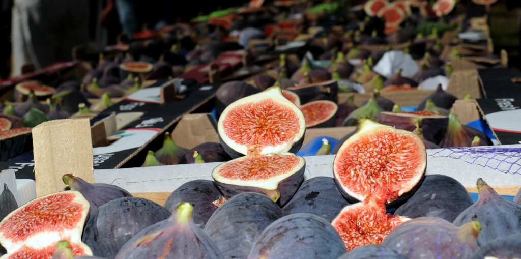 Bursa siyahı görücüye çıkıyor