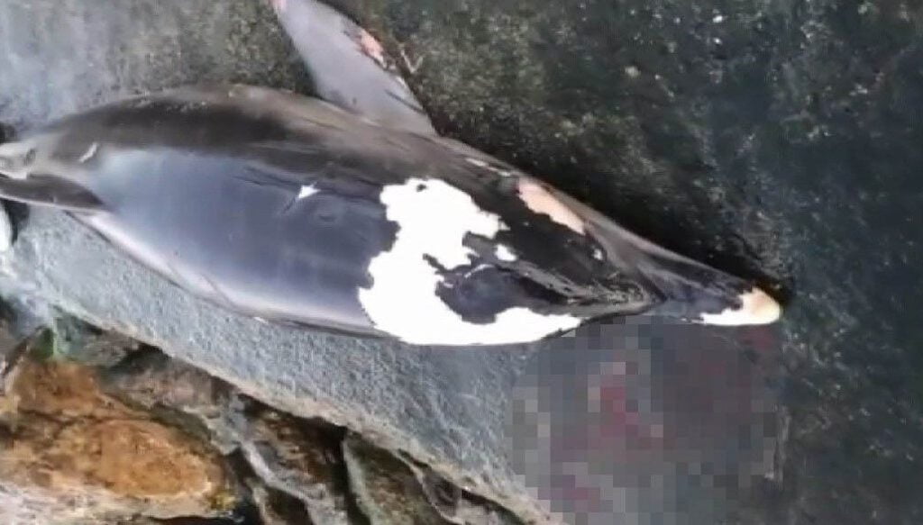 Bursa’da korkunç olay!