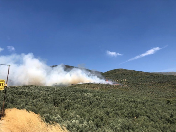 Bursa’da ormanlık alanda yangın çıktı