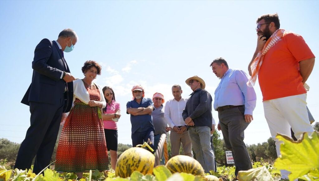 Çeşme kavunu, coğrafi işaret tescili aldı