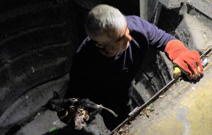 Çöpe atılan kediyi belediye kurtardı