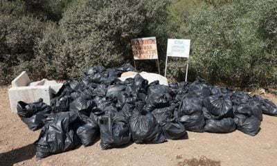 Gözde koydan çıkan çöpler şaşırttı