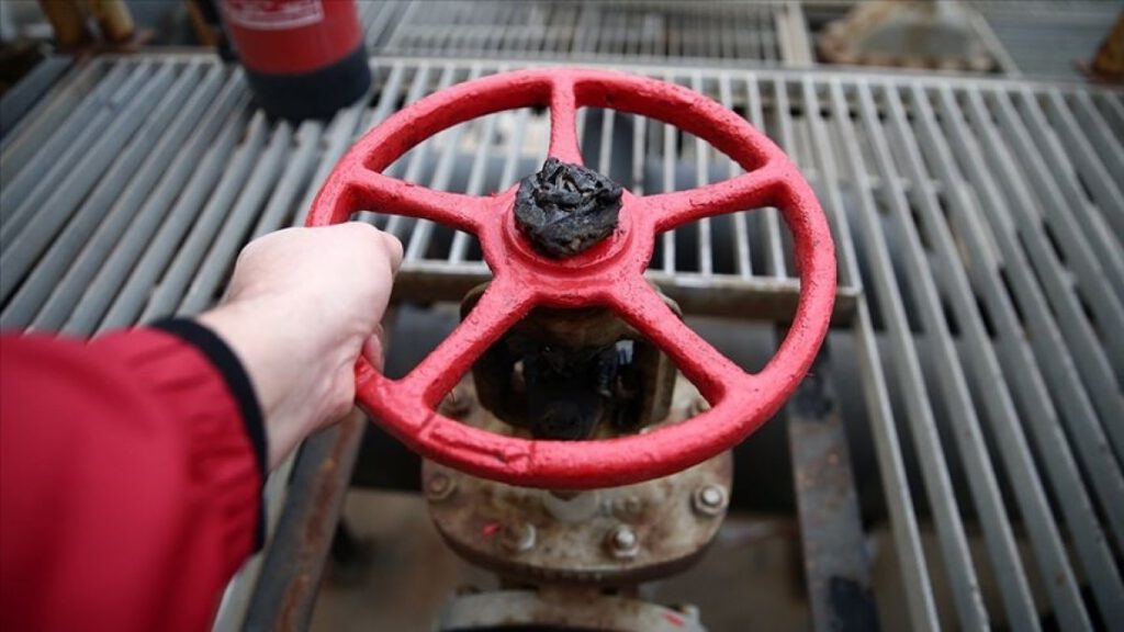 Doğalgaz fiyatı 7, kömür fiyatı 3 katına çıktı