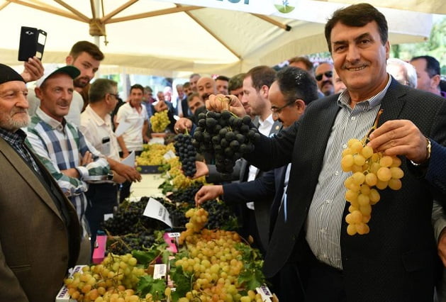 Osmangazi’de ‘üzüm’ vakti