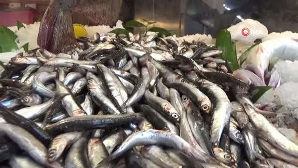 Hamsi yüzleri güldürdü