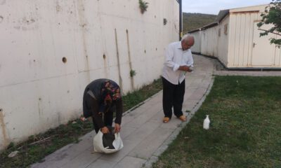 Hasta yakınları ölümden döndü