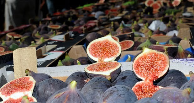 Mürsel İncir Şenliği başlıyor