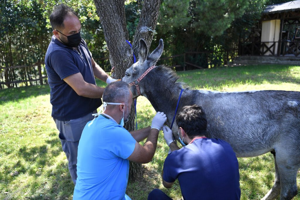 İyileşince emekliye ayrılacak