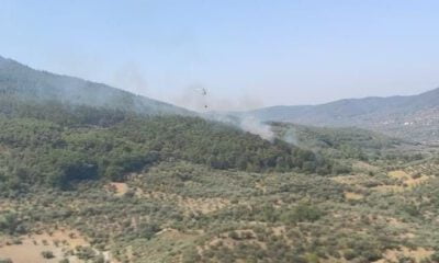 İzmir’de korkutan orman yangını