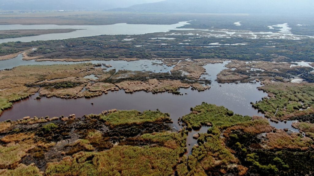 Karacabey ormanlarında sonbahar güzelliği