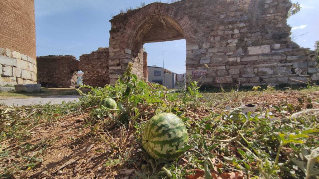 Kimse koparmaya kıyamadı!