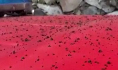 La Palma Adası’na kül yağıyor