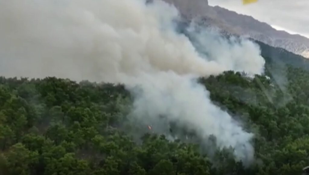 Manavgat’ta ikinci yangın