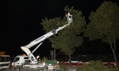 Metro hattındaki ağaçlar taşındı