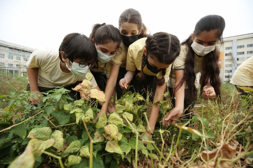 Mini Bostan’da kış hazırlığı